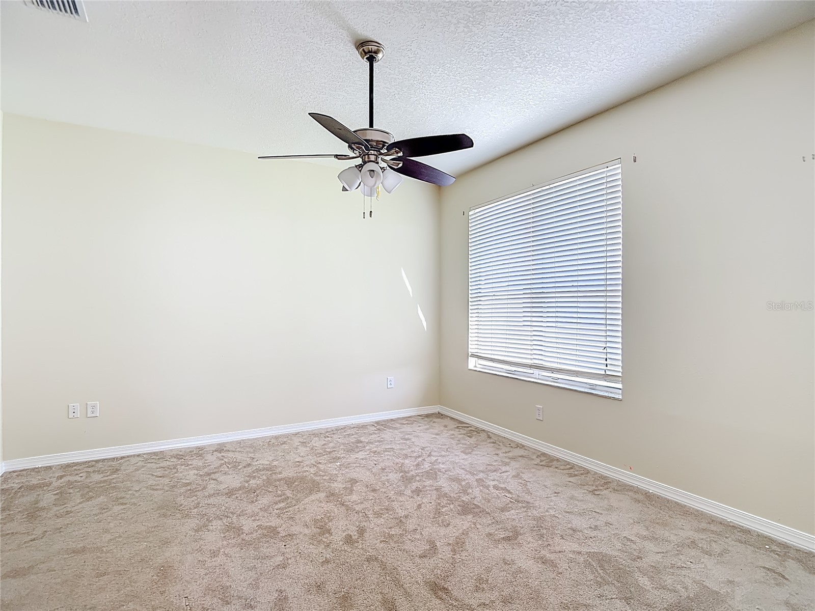 1931 Sassafras Drive Wesley Chapel FL 33543 O6398460 image27
