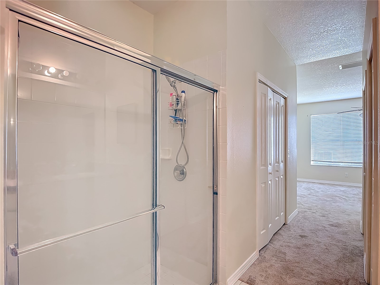 1931 Sassafras Drive Wesley Chapel FL 33543 O6398460 image30
