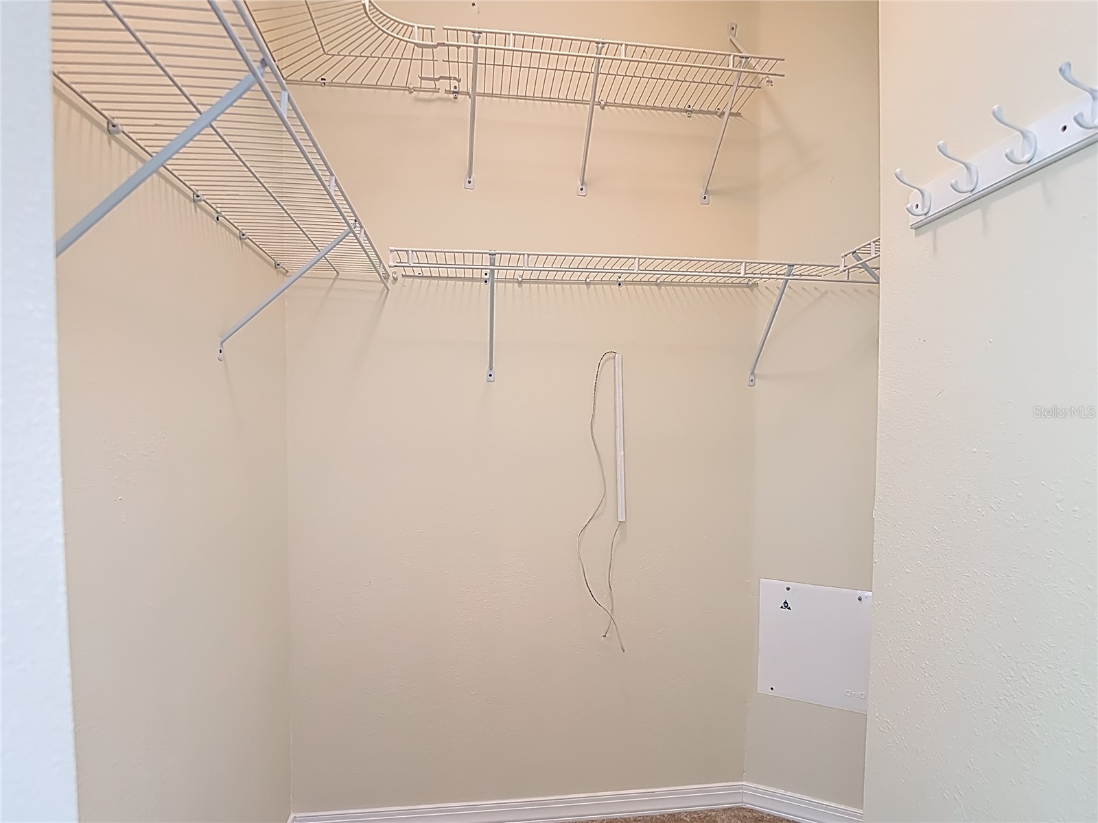 1931 Sassafras Drive Wesley Chapel FL 33543 O6398460 image31