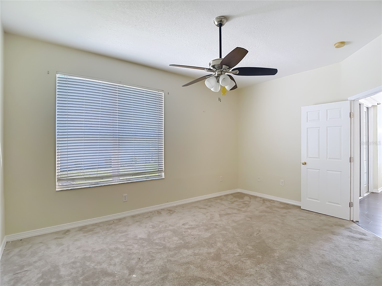 1931 Sassafras Drive Wesley Chapel FL 33543 O6398460 image32