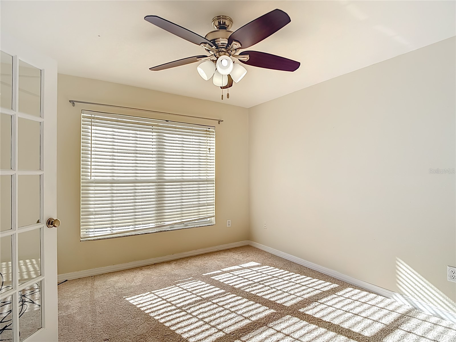 1931 Sassafras Drive Wesley Chapel FL 33543 O6398460 image39