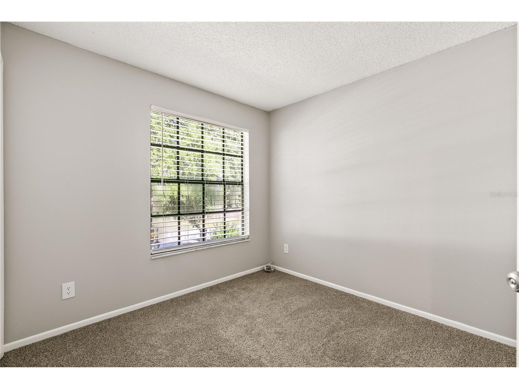 1931 Sheeler Oaks Drive Apopka FL 32703 TB8527583 image21