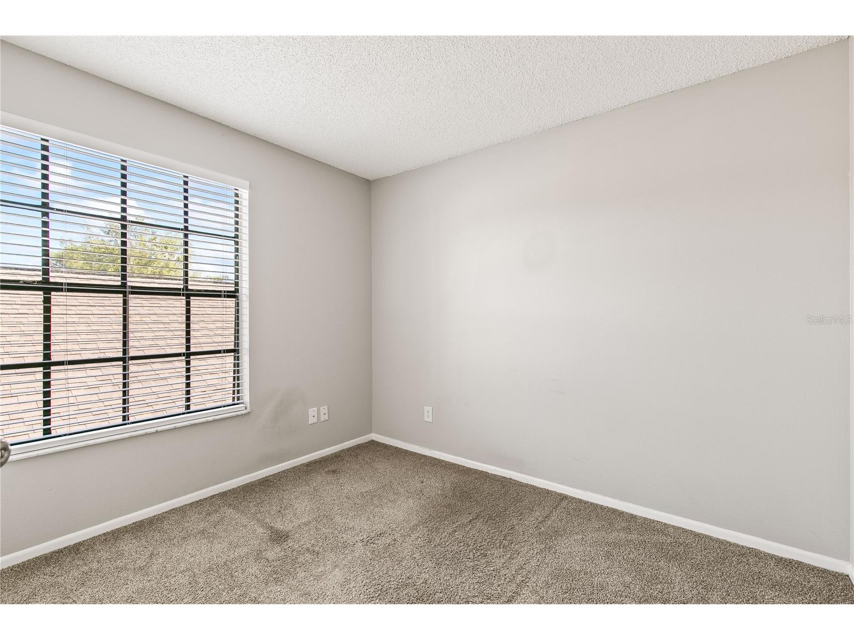 1931 Sheeler Oaks Drive Apopka FL 32703 TB8527583 image23