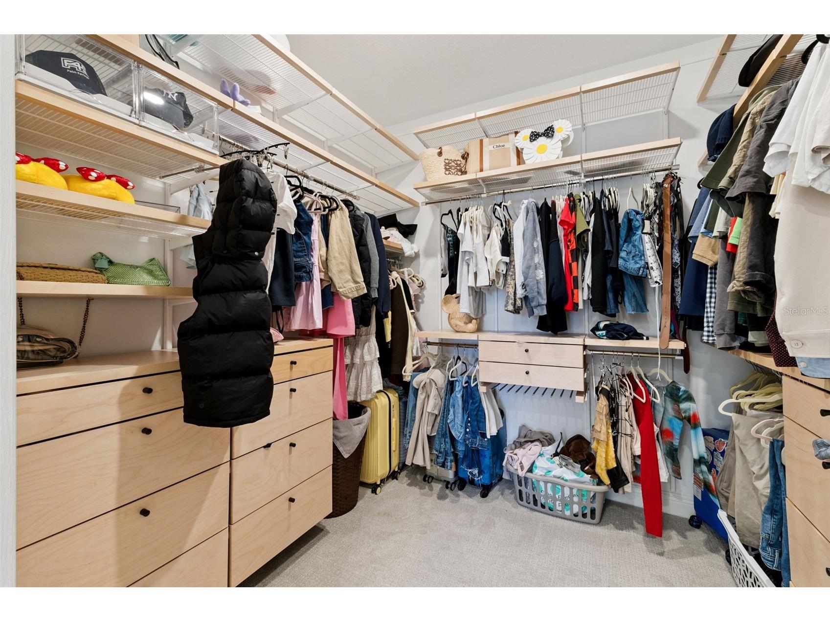 19310 Banfield Place Orlando FL 32827 O6389463 image22