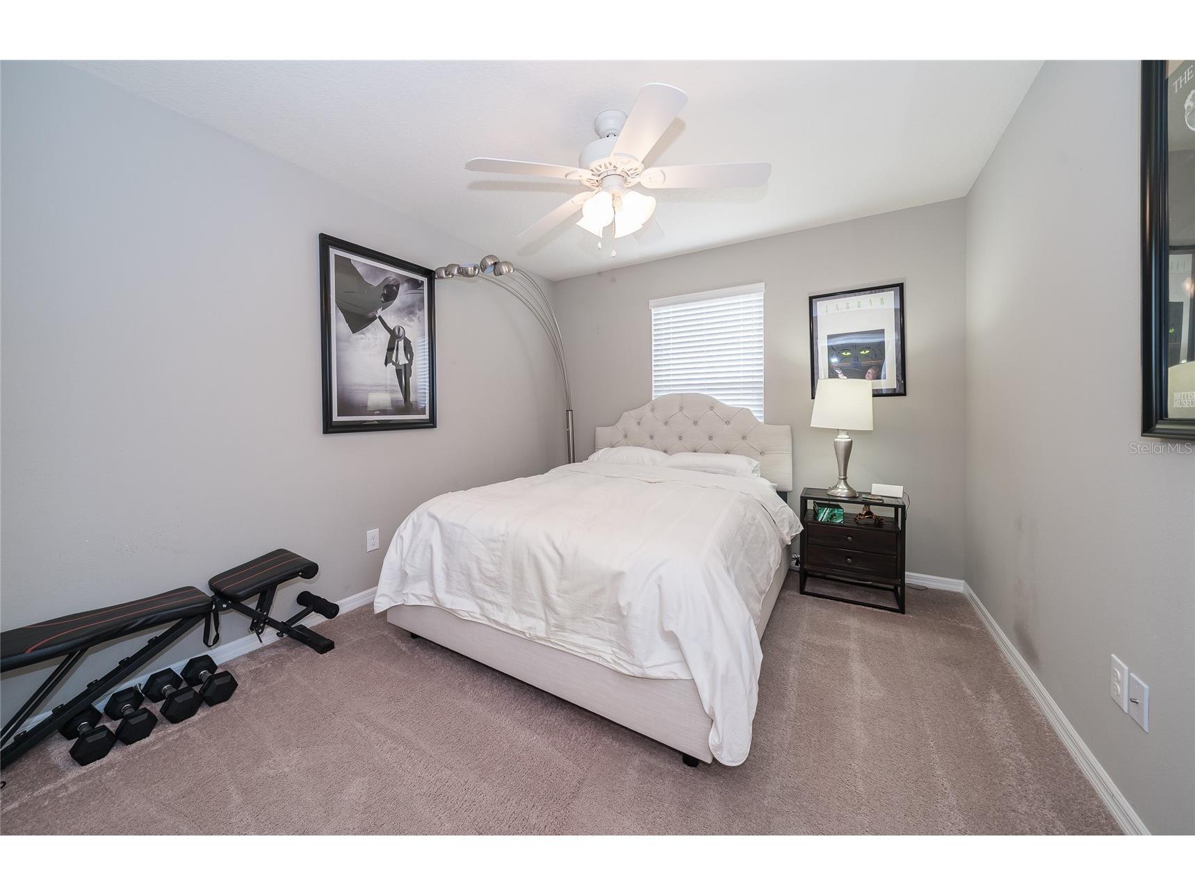 19312 Roseate Drive Lutz FL 33558 TB8507314 image10