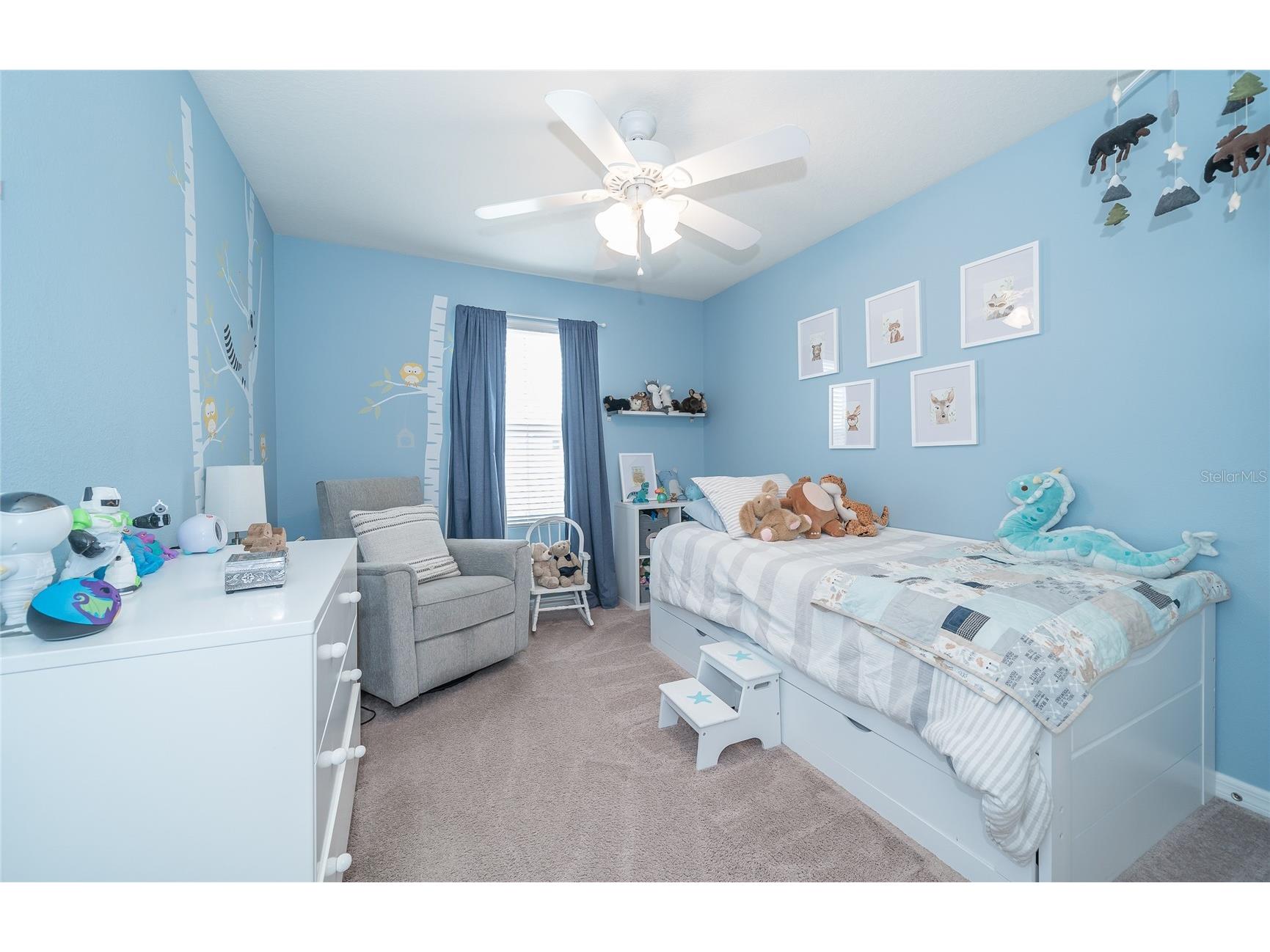 19312 Roseate Drive Lutz FL 33558 TB8507314 image11