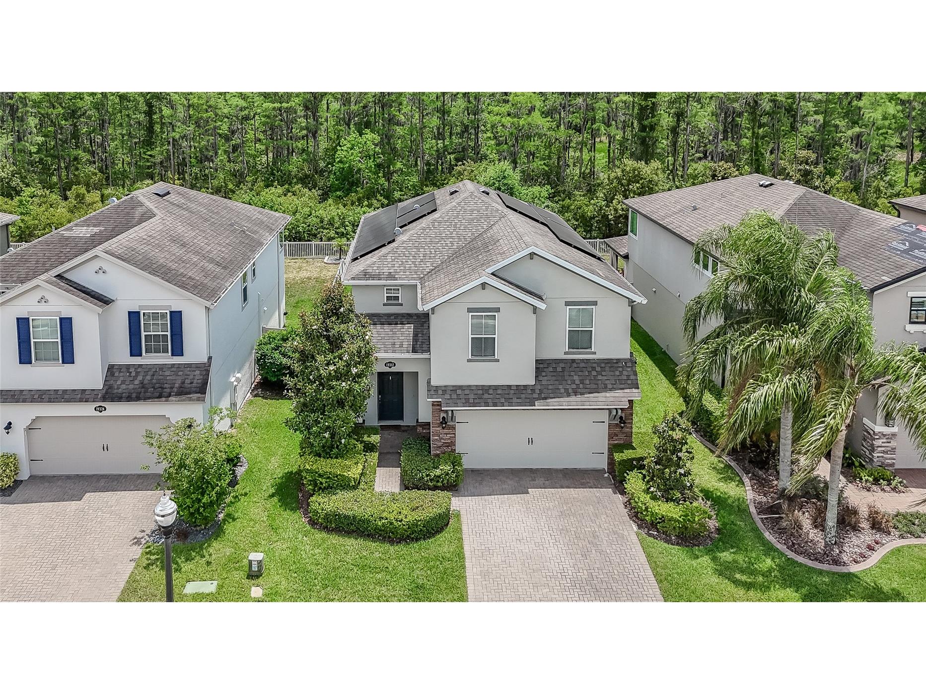 19312 Roseate Drive Lutz FL 33558 TB8507314 image14