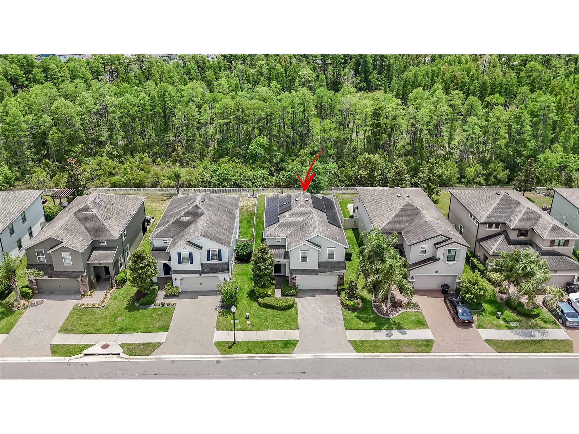 19312 Roseate Drive Lutz FL 33558 TB8507314 image15