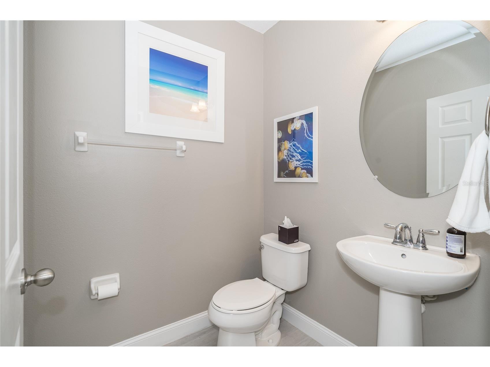 19312 Roseate Drive Lutz FL 33558 TB8507314 image19