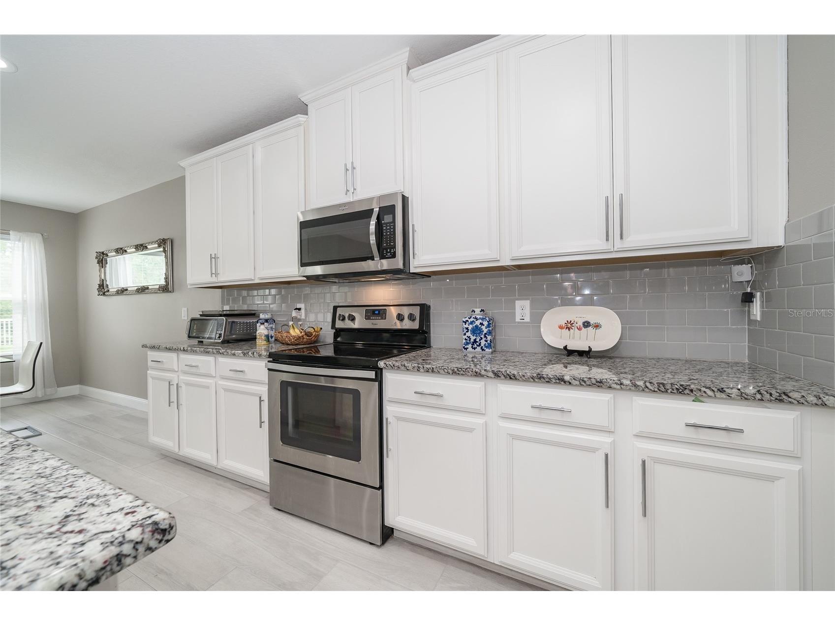 19312 Roseate Drive Lutz FL 33558 TB8507314 image22