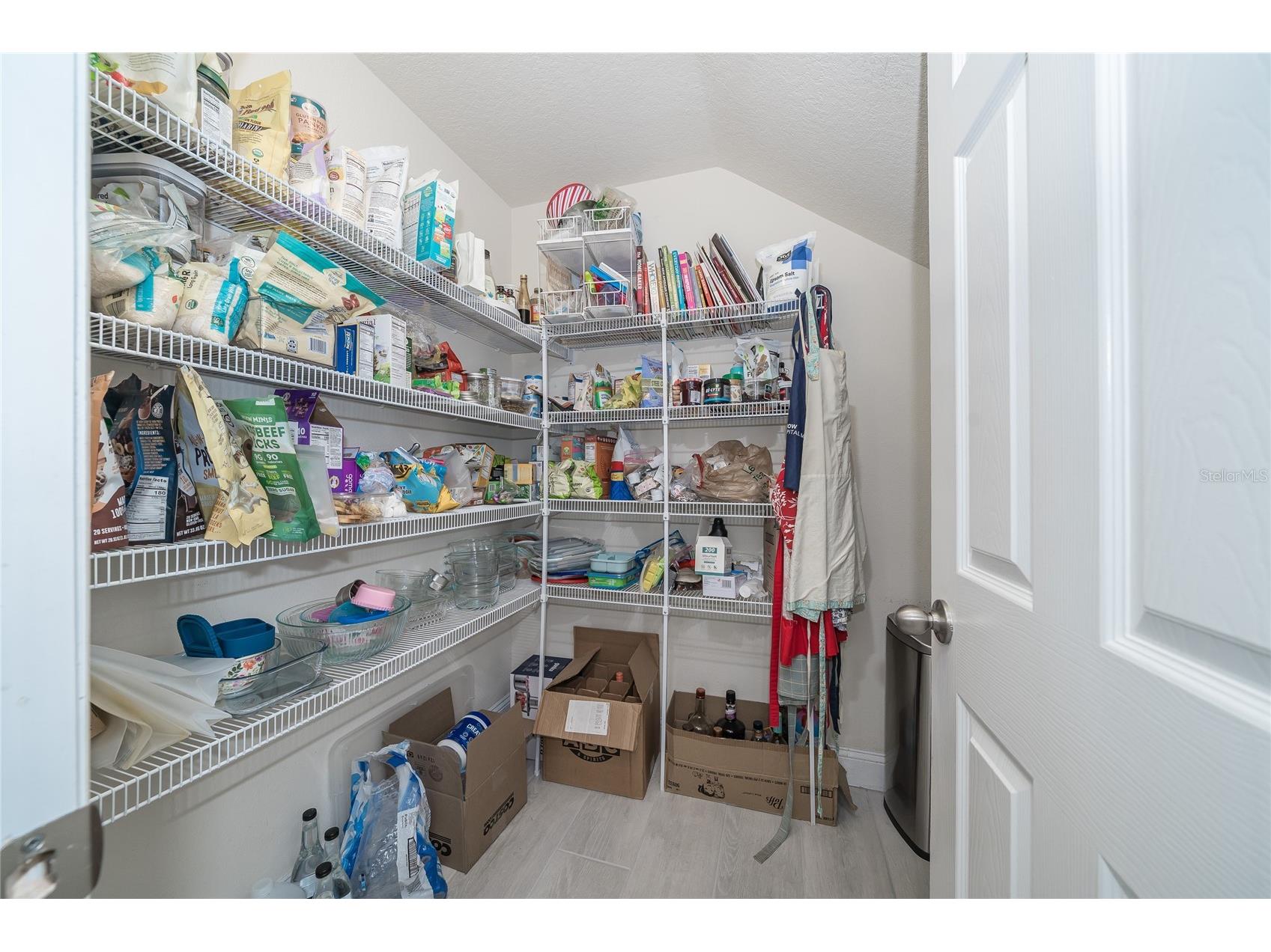 19312 Roseate Drive Lutz FL 33558 TB8507314 image24