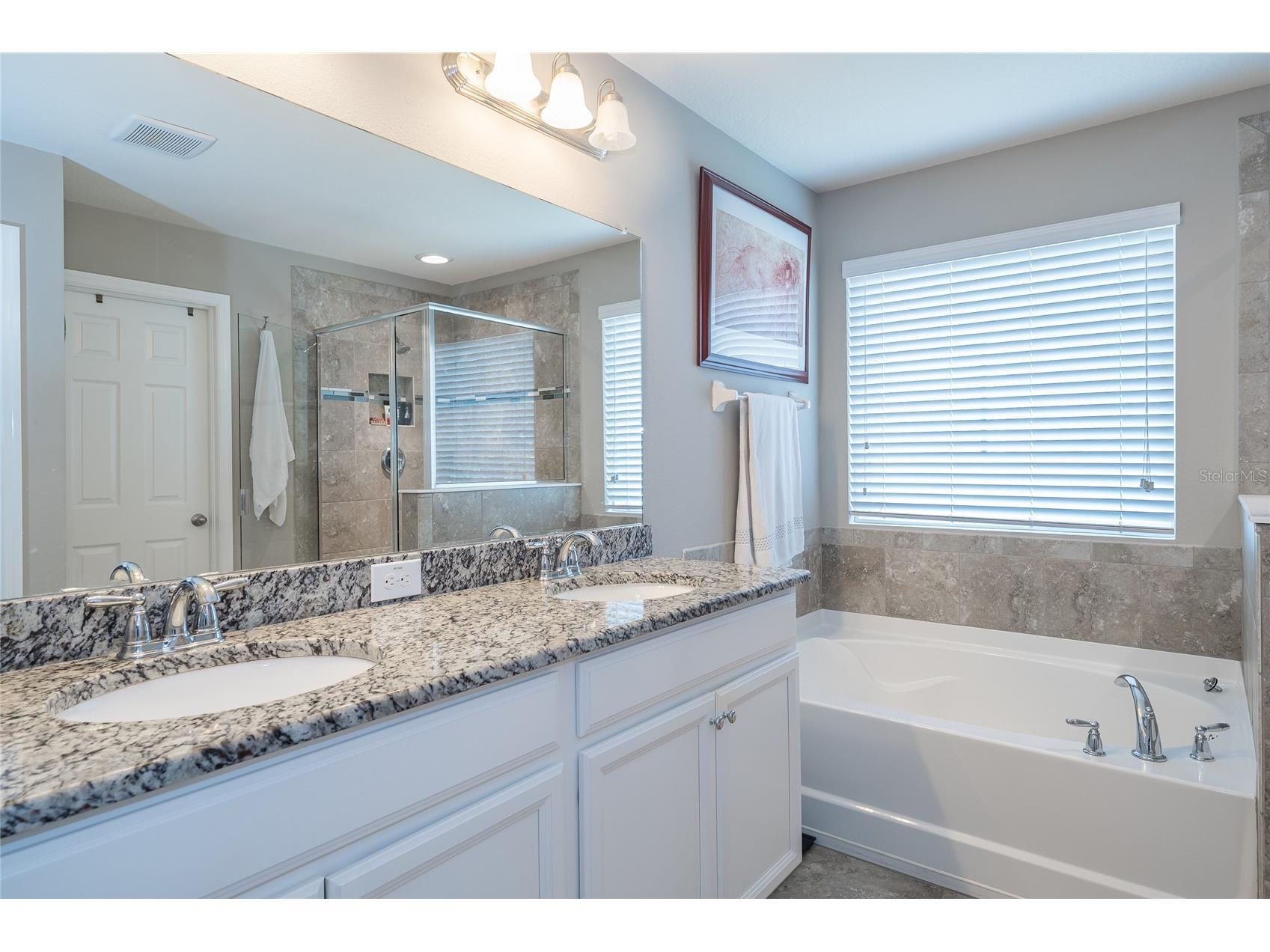 19312 Roseate Drive Lutz FL 33558 TB8507314 image35