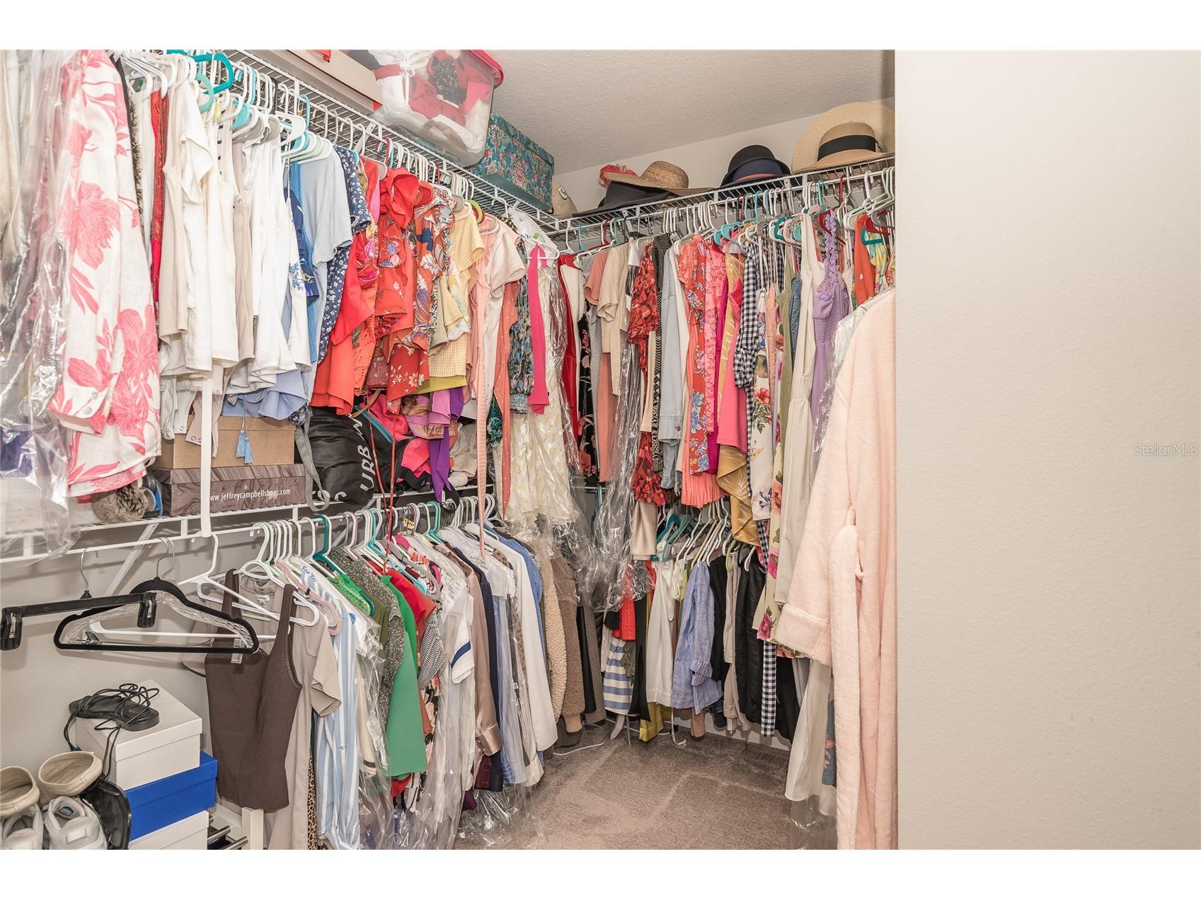 19312 Roseate Drive Lutz FL 33558 TB8507314 image37