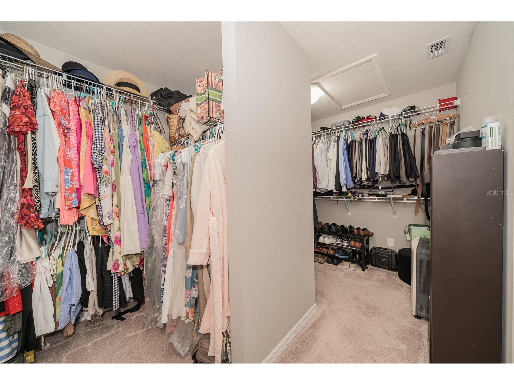 19312 Roseate Drive Lutz FL 33558 TB8507314 image38
