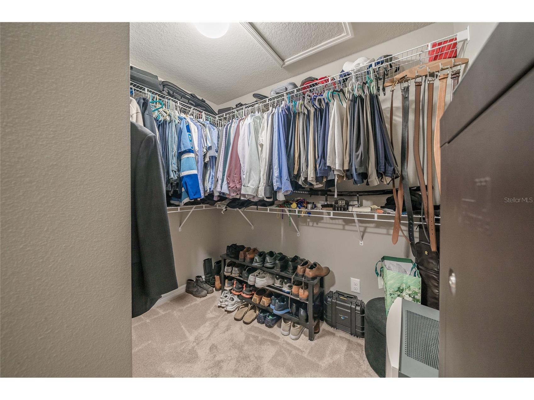19312 Roseate Drive Lutz FL 33558 TB8507314 image39