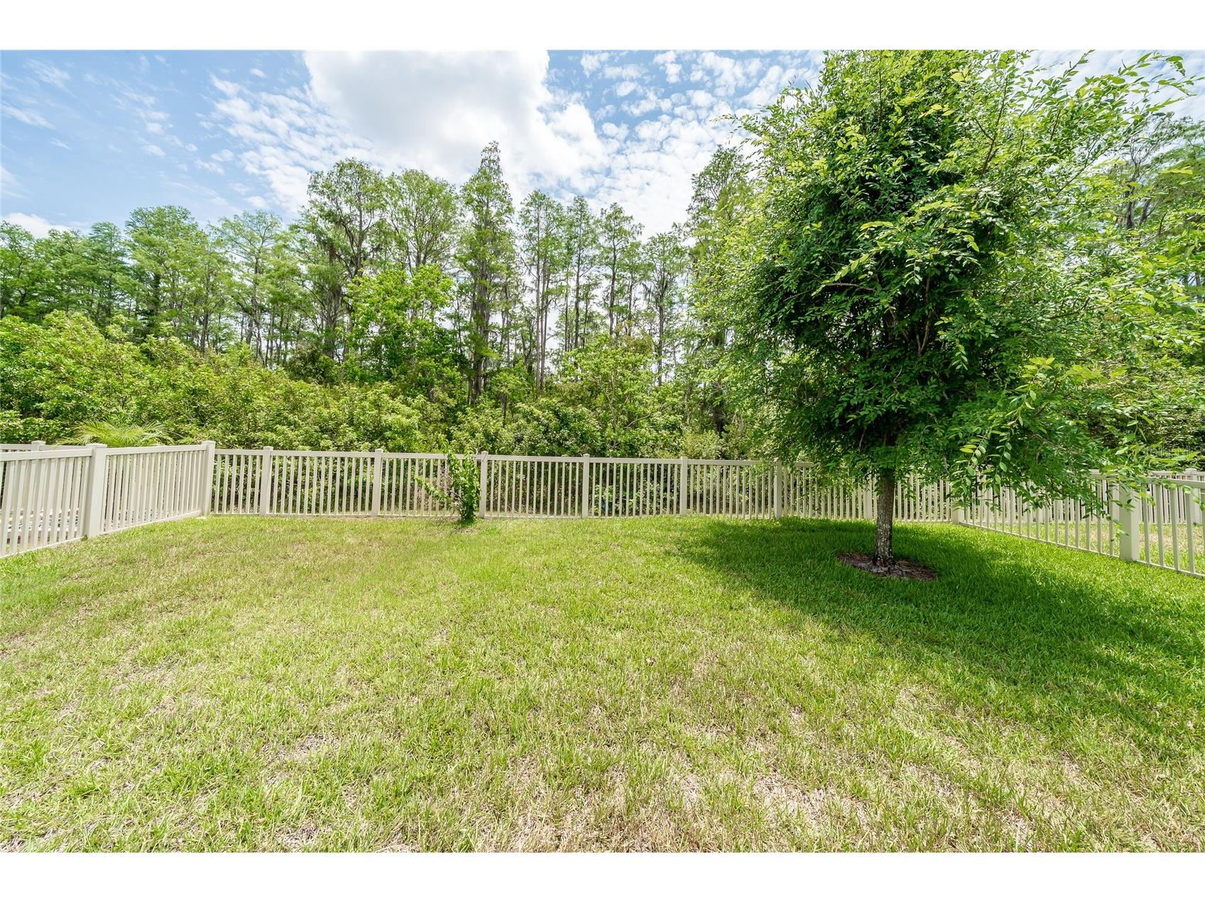 19312 Roseate Drive Lutz FL 33558 TB8507314 image44