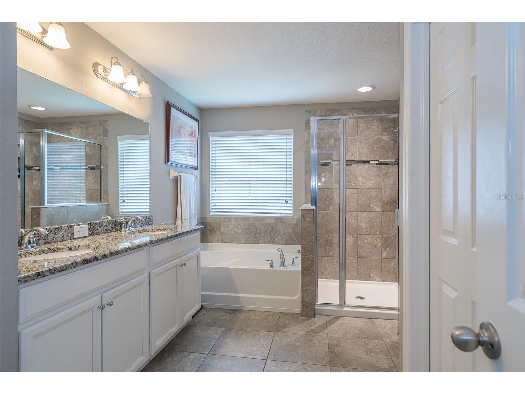 19312 Roseate Drive Lutz FL 33558 TB8507314 image9