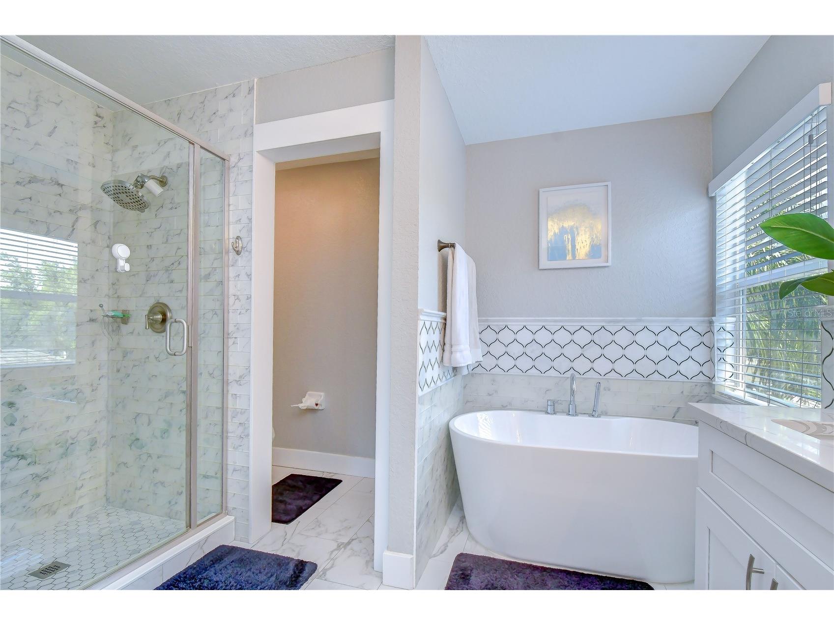 19312 Sea Mist Lane Lutz FL 33558 TB8516444 image37
