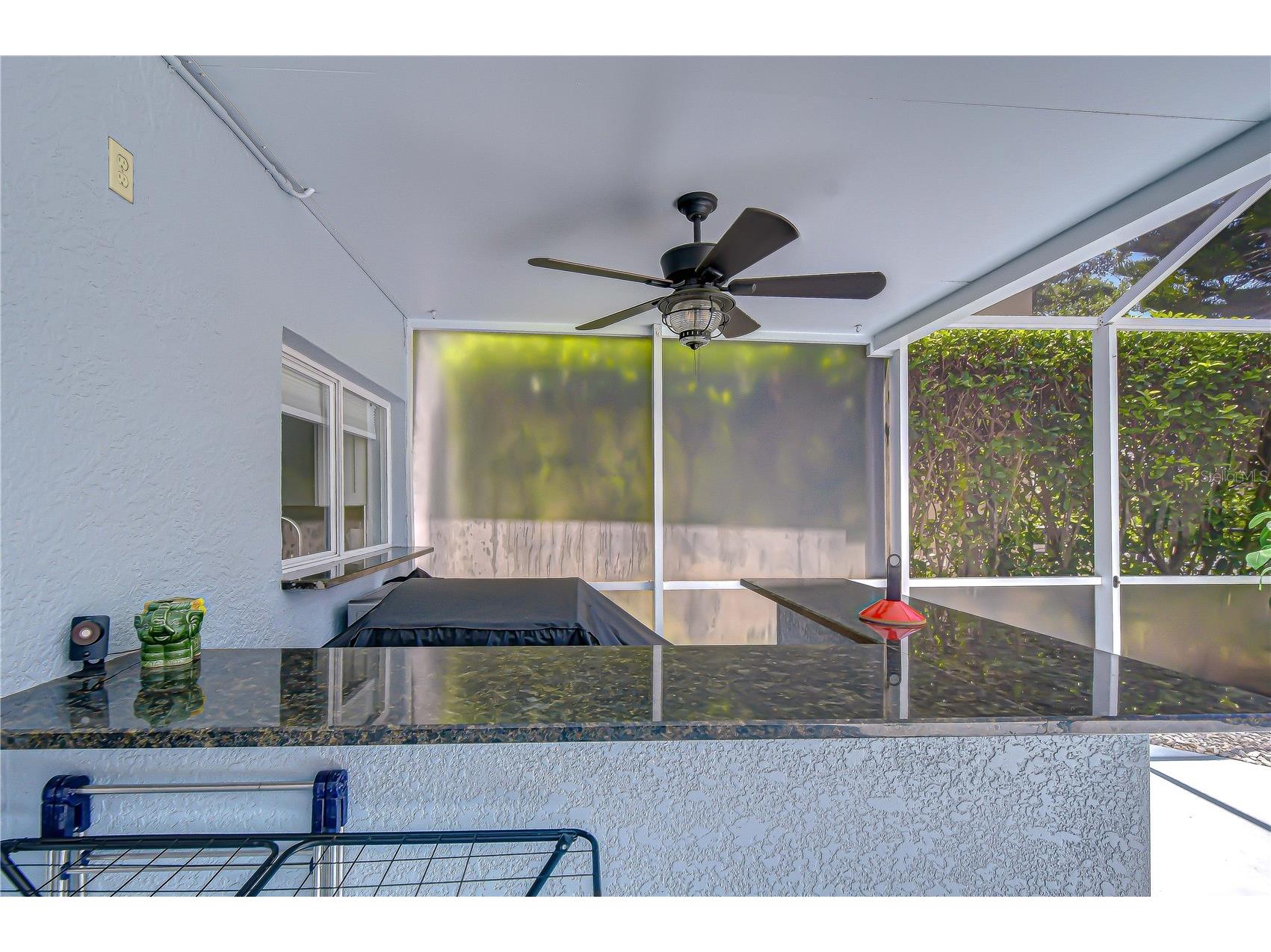 19312 Sea Mist Lane Lutz FL 33558 TB8516444 image45