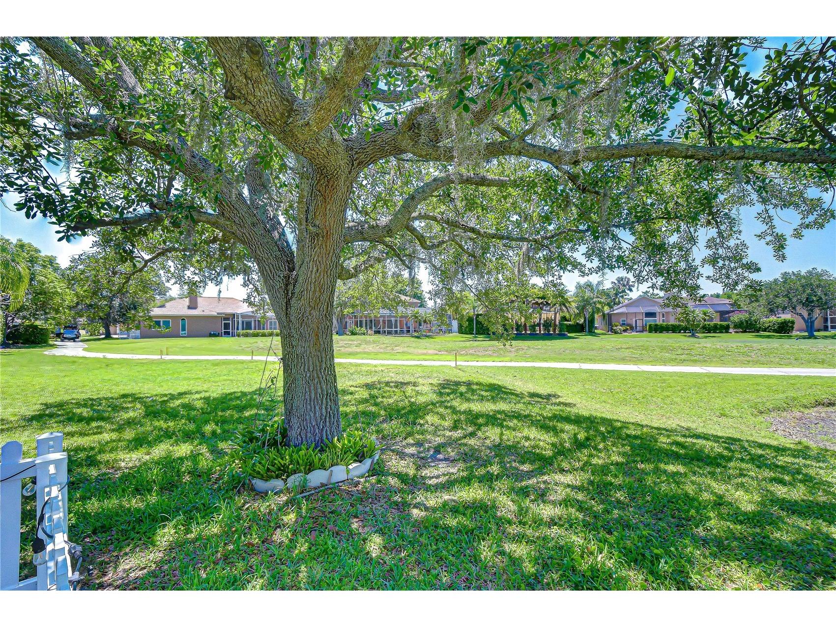 19312 Sea Mist Lane Lutz FL 33558 TB8516444 image52