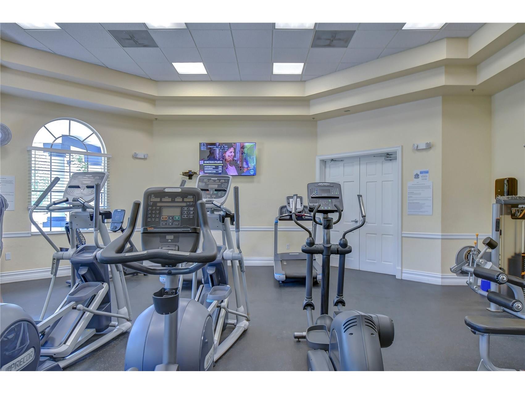 19312 Sea Mist Lane Lutz FL 33558 TB8516444 image59