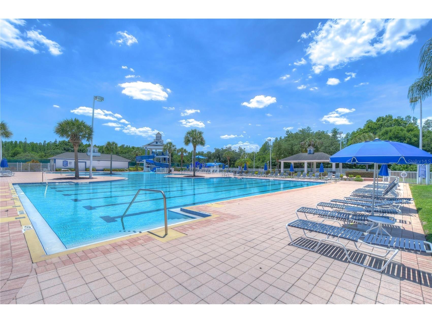 19312 Sea Mist Lane Lutz FL 33558 TB8516444 image64