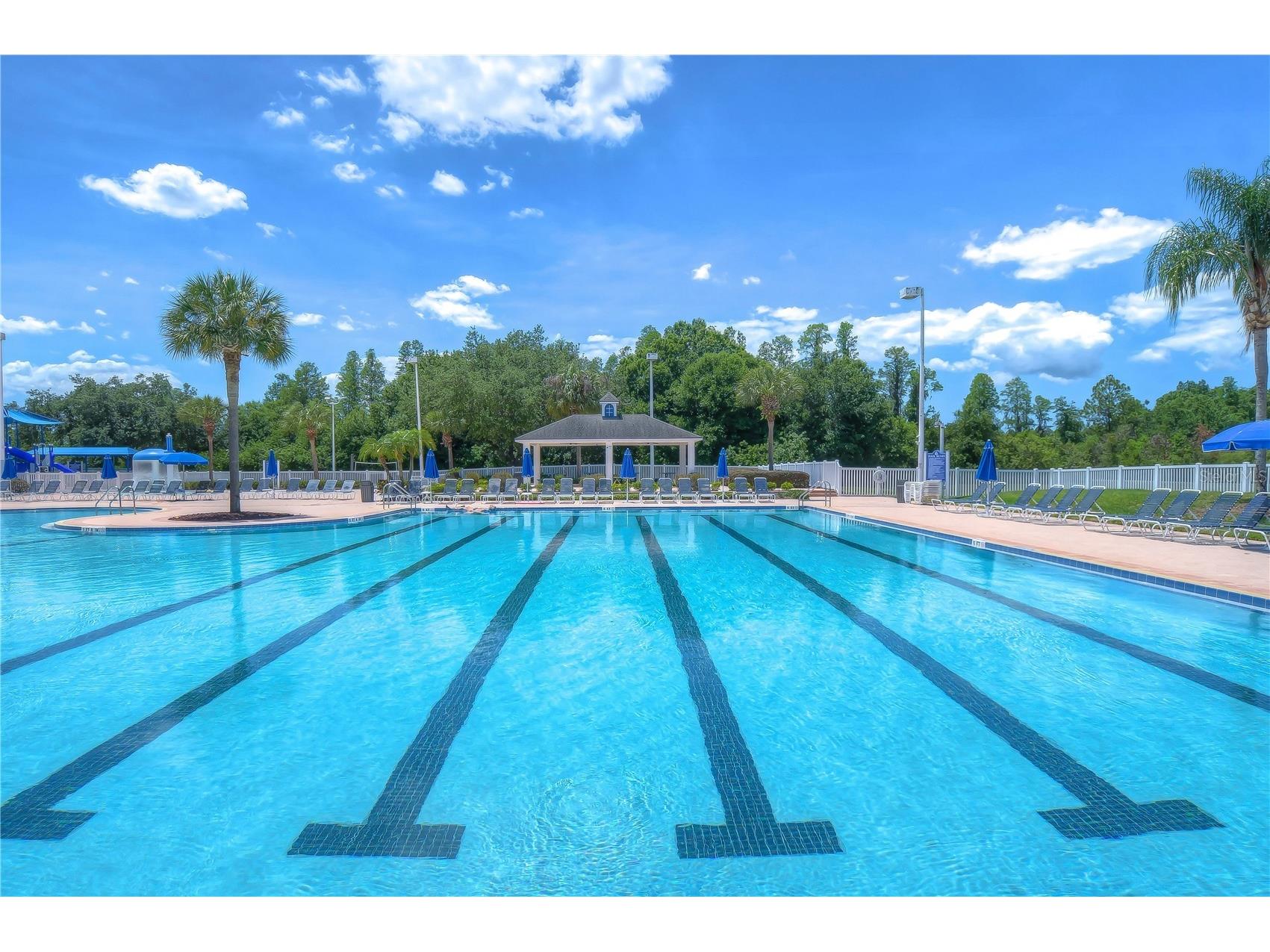 19312 Sea Mist Lane Lutz FL 33558 TB8516444 image65