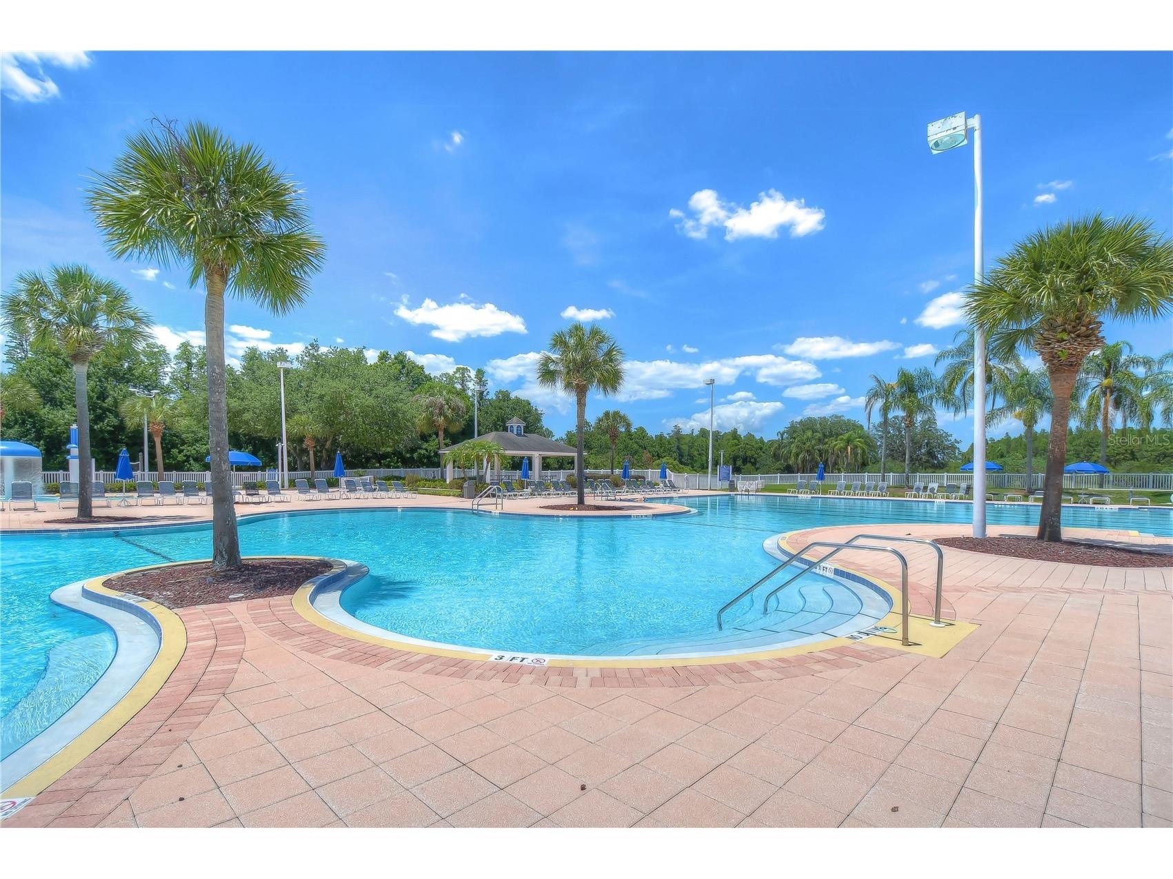 19312 Sea Mist Lane Lutz FL 33558 TB8516444 image66