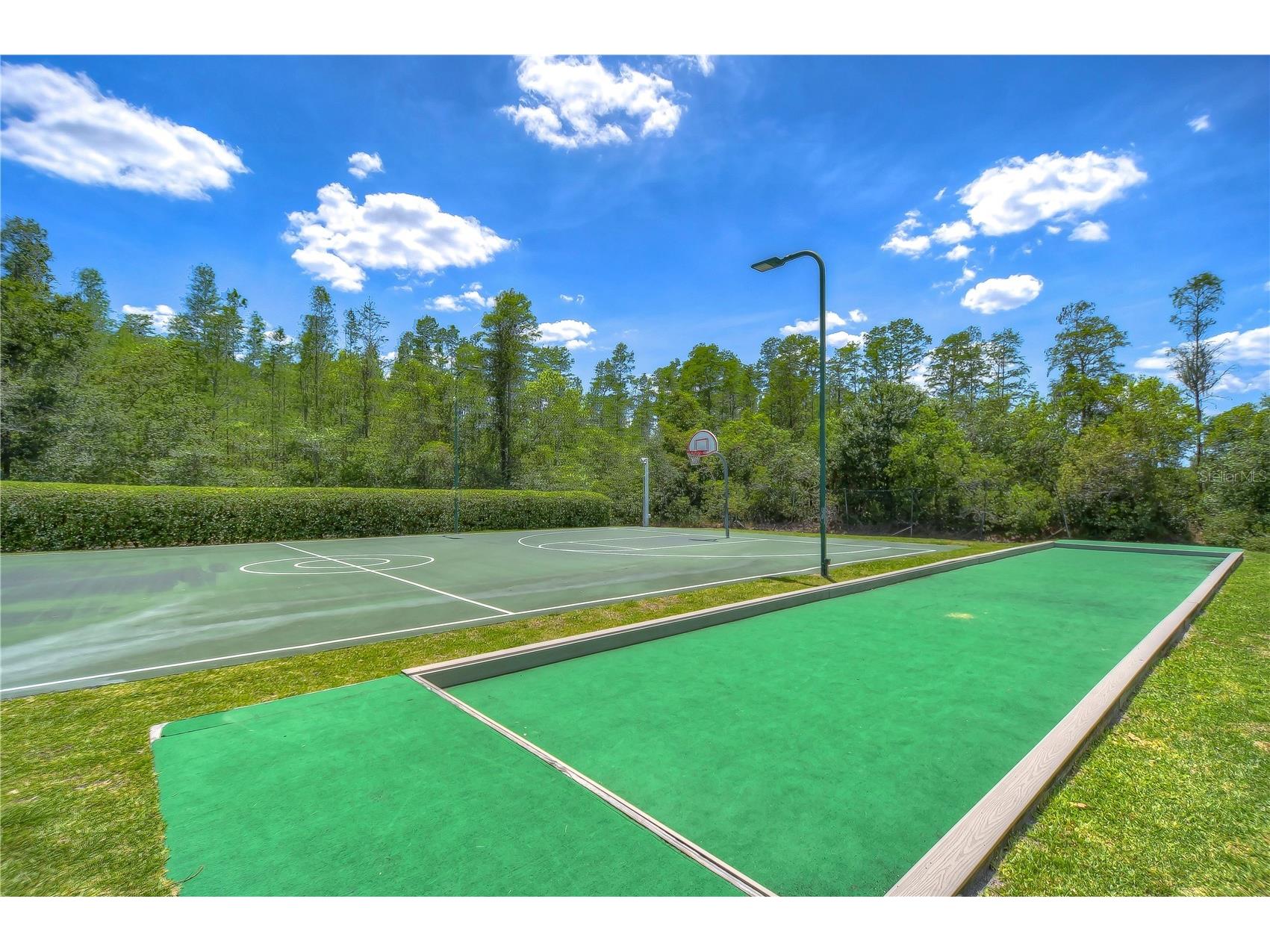 19312 Sea Mist Lane Lutz FL 33558 TB8516444 image69
