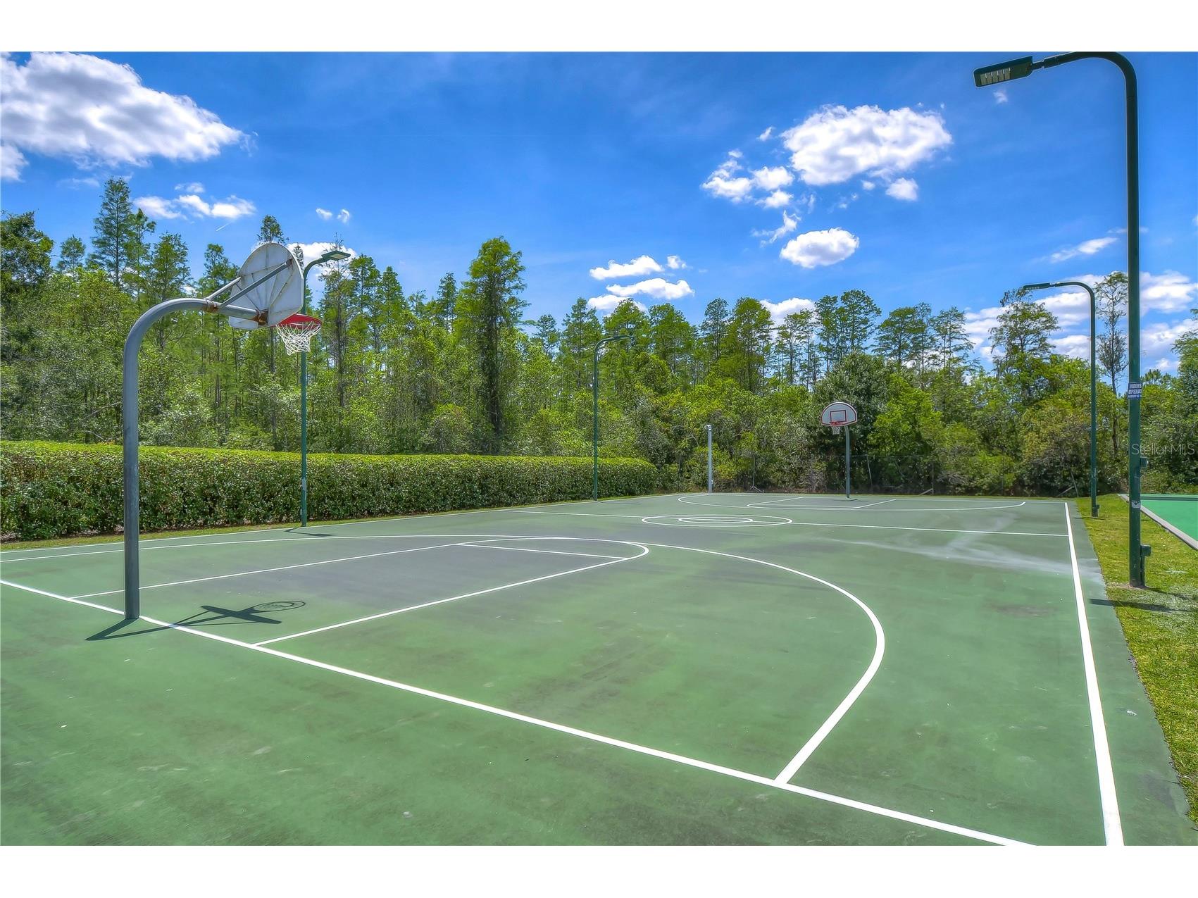 19312 Sea Mist Lane Lutz FL 33558 TB8516444 image70