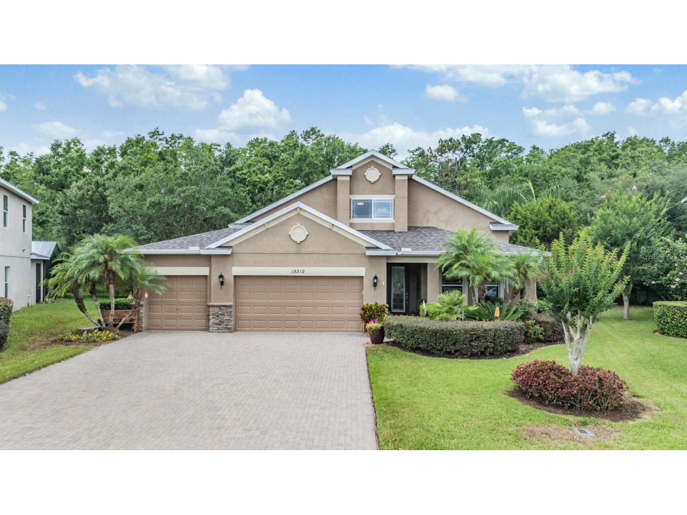 19312 Sunset Bay Drive Land O Lakes FL 34638 TB8390047 image1