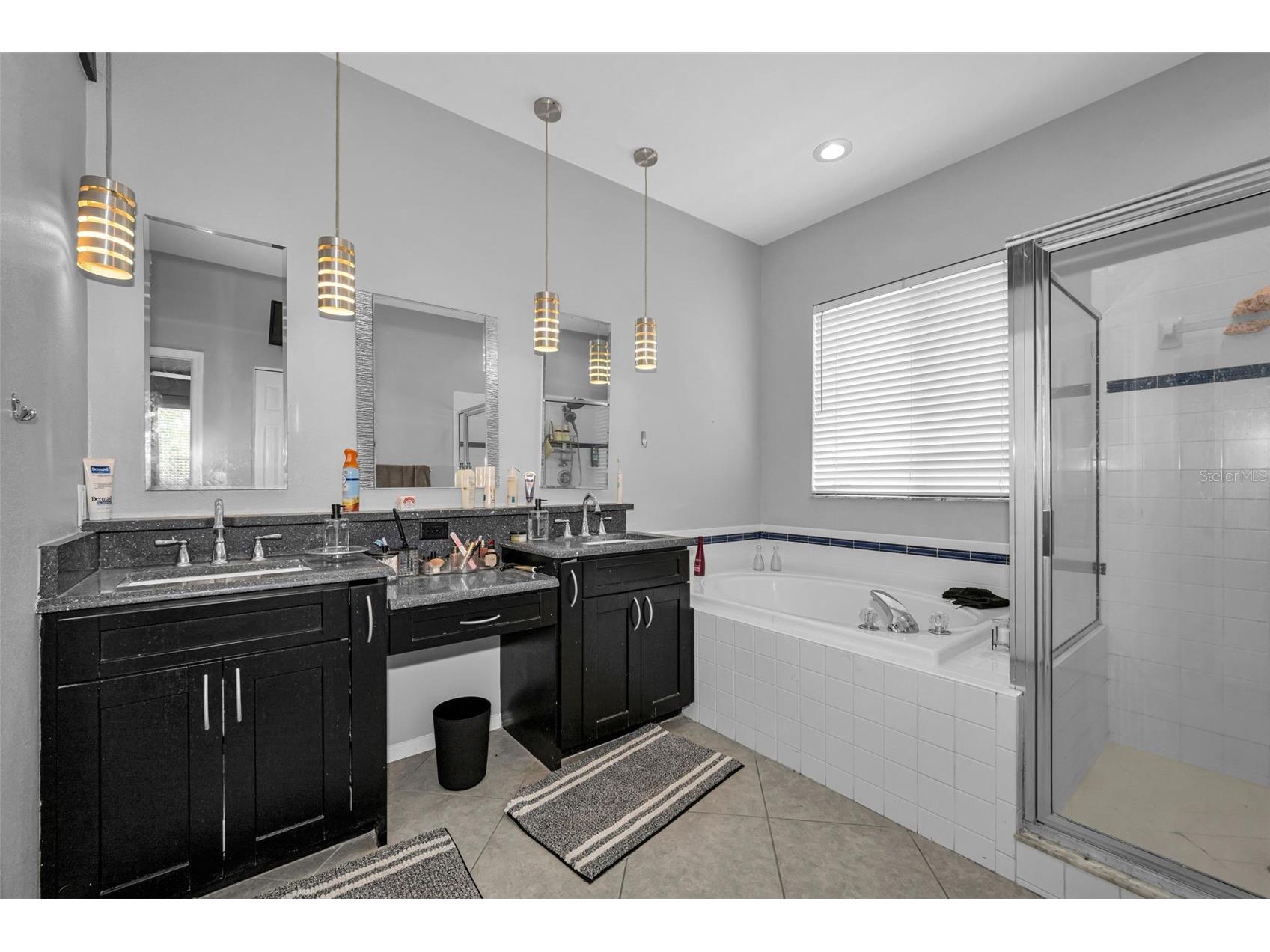 19313 Aqua Springs Drive Lutz FL 33558 TB8506603 image23