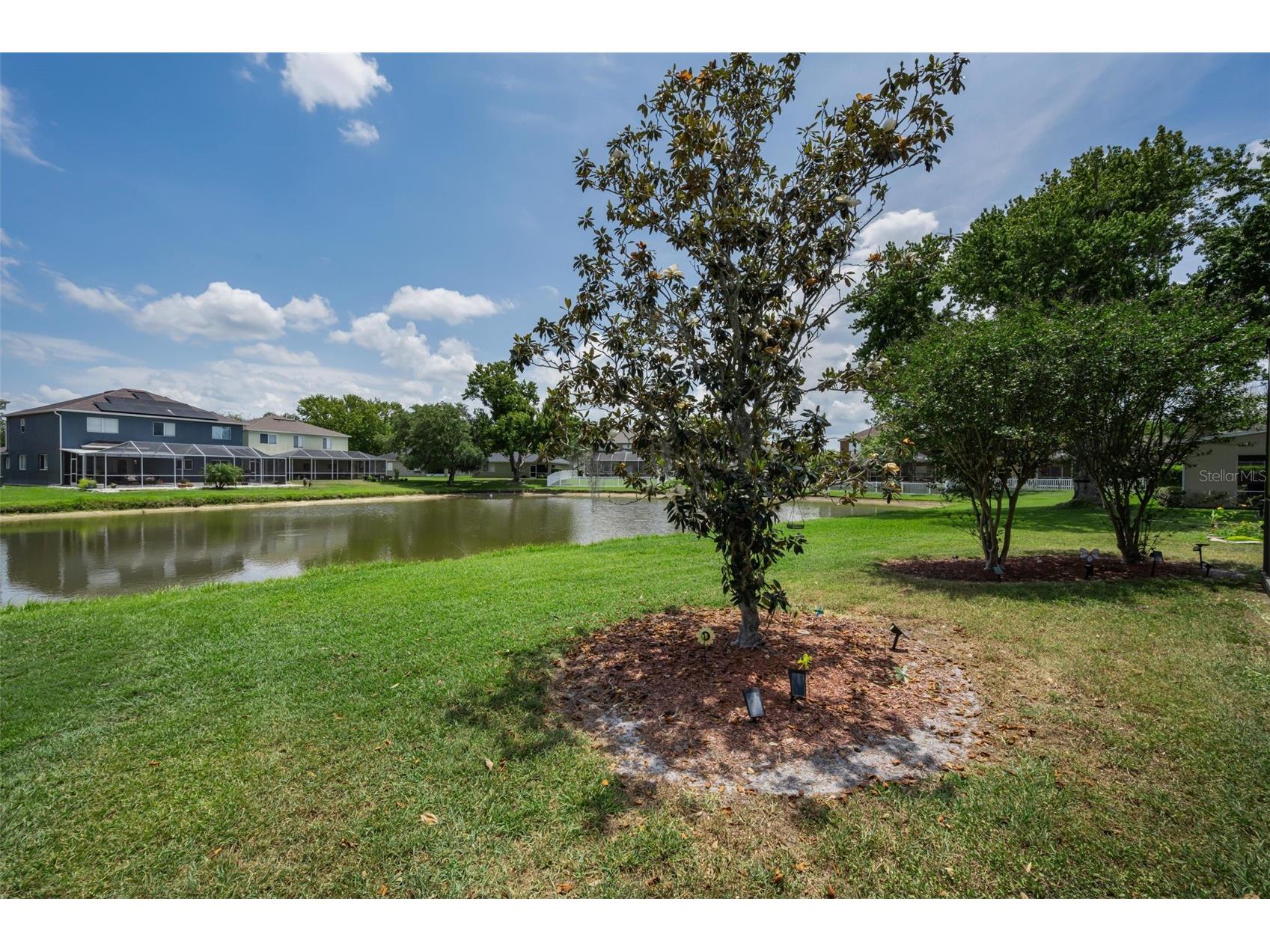19313 Aqua Springs Drive Lutz FL 33558 TB8506603 image37