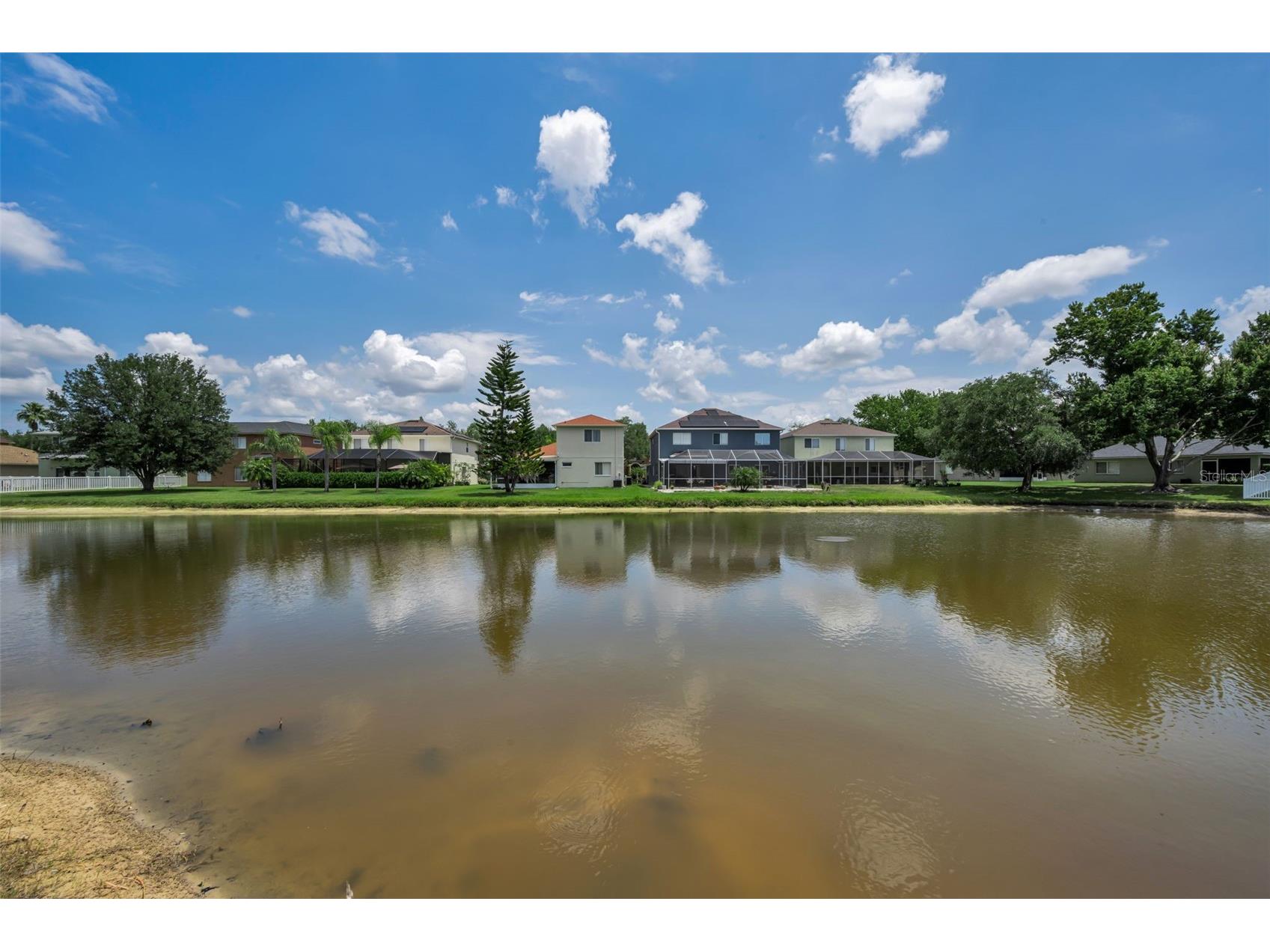 19313 Aqua Springs Drive Lutz FL 33558 TB8506603 image39