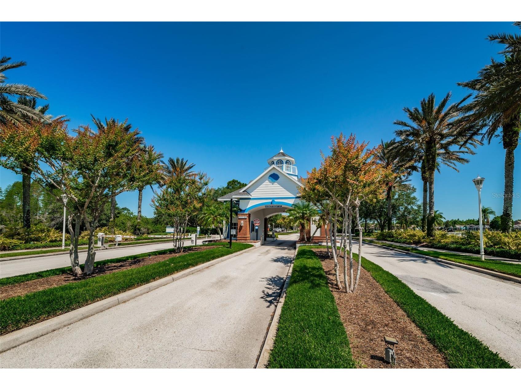 19313 Aqua Springs Drive Lutz FL 33558 TB8506603 image43