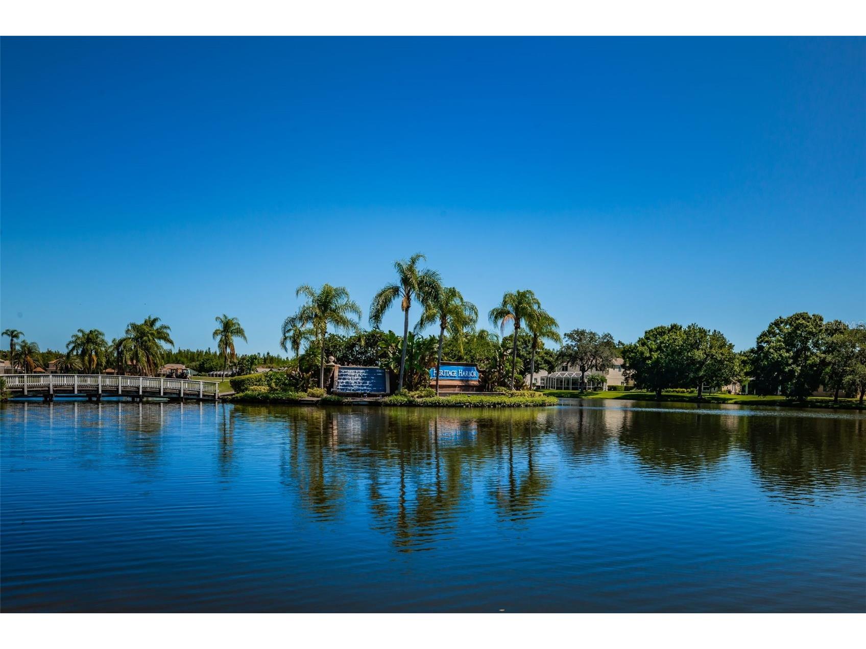 19313 Aqua Springs Drive Lutz FL 33558 TB8506603 image44
