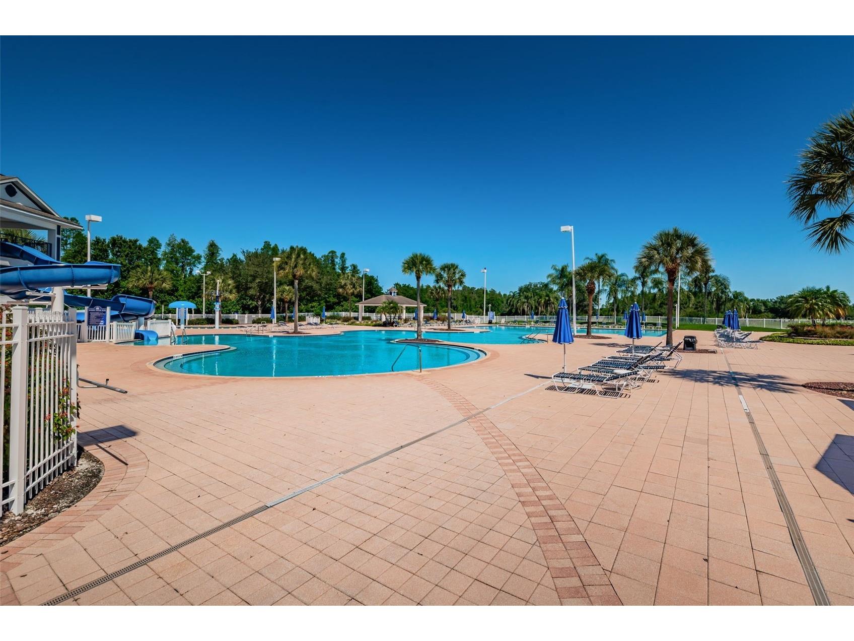 19313 Aqua Springs Drive Lutz FL 33558 TB8506603 image49