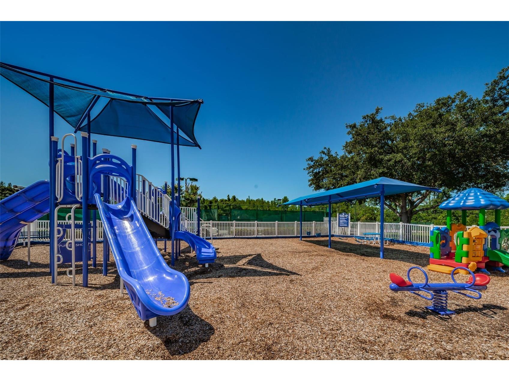 19313 Aqua Springs Drive Lutz FL 33558 TB8506603 image54