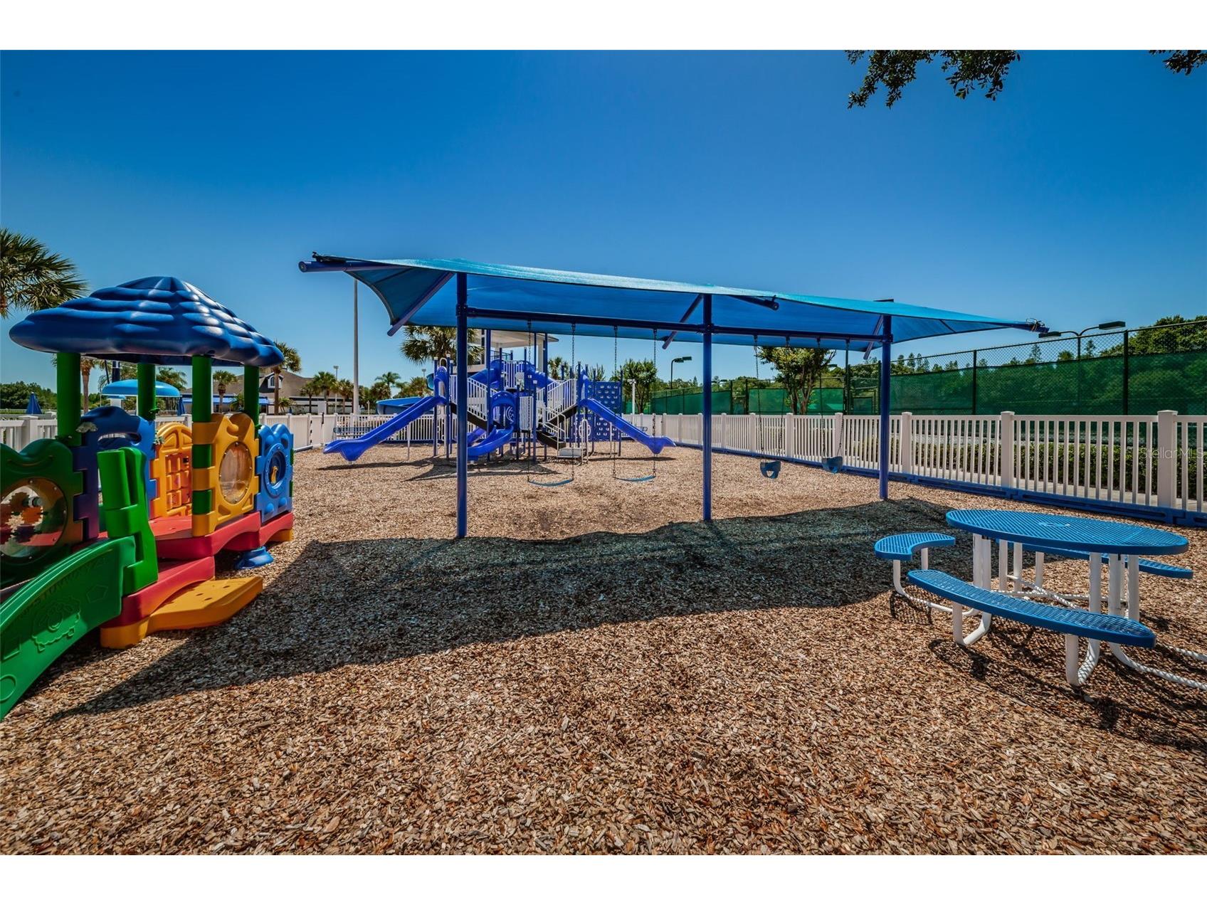19313 Aqua Springs Drive Lutz FL 33558 TB8506603 image55