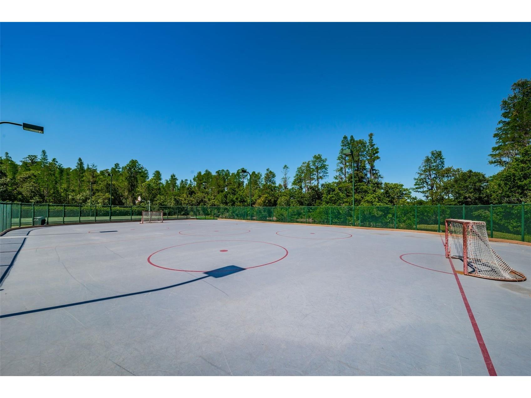 19313 Aqua Springs Drive Lutz FL 33558 TB8506603 image56