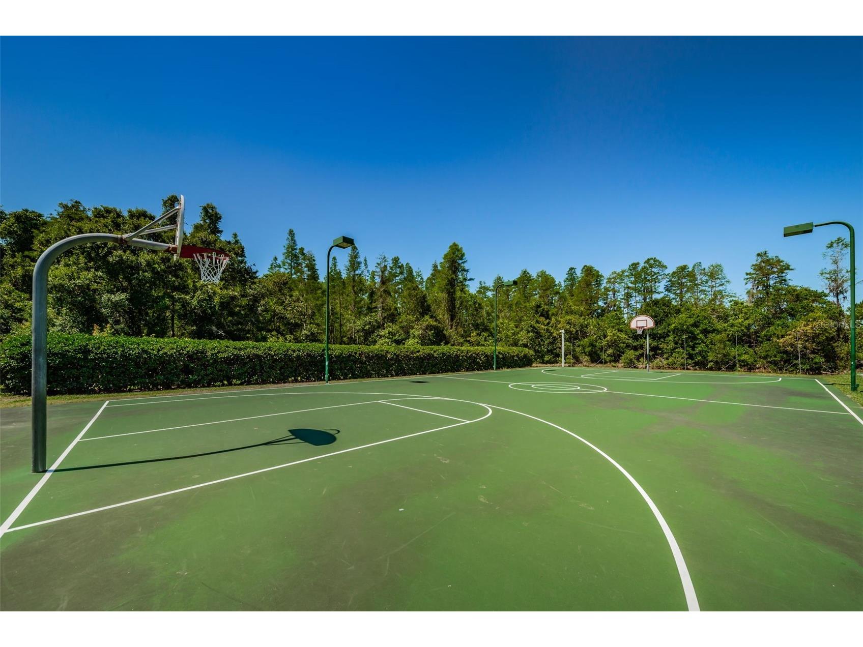 19313 Aqua Springs Drive Lutz FL 33558 TB8506603 image57