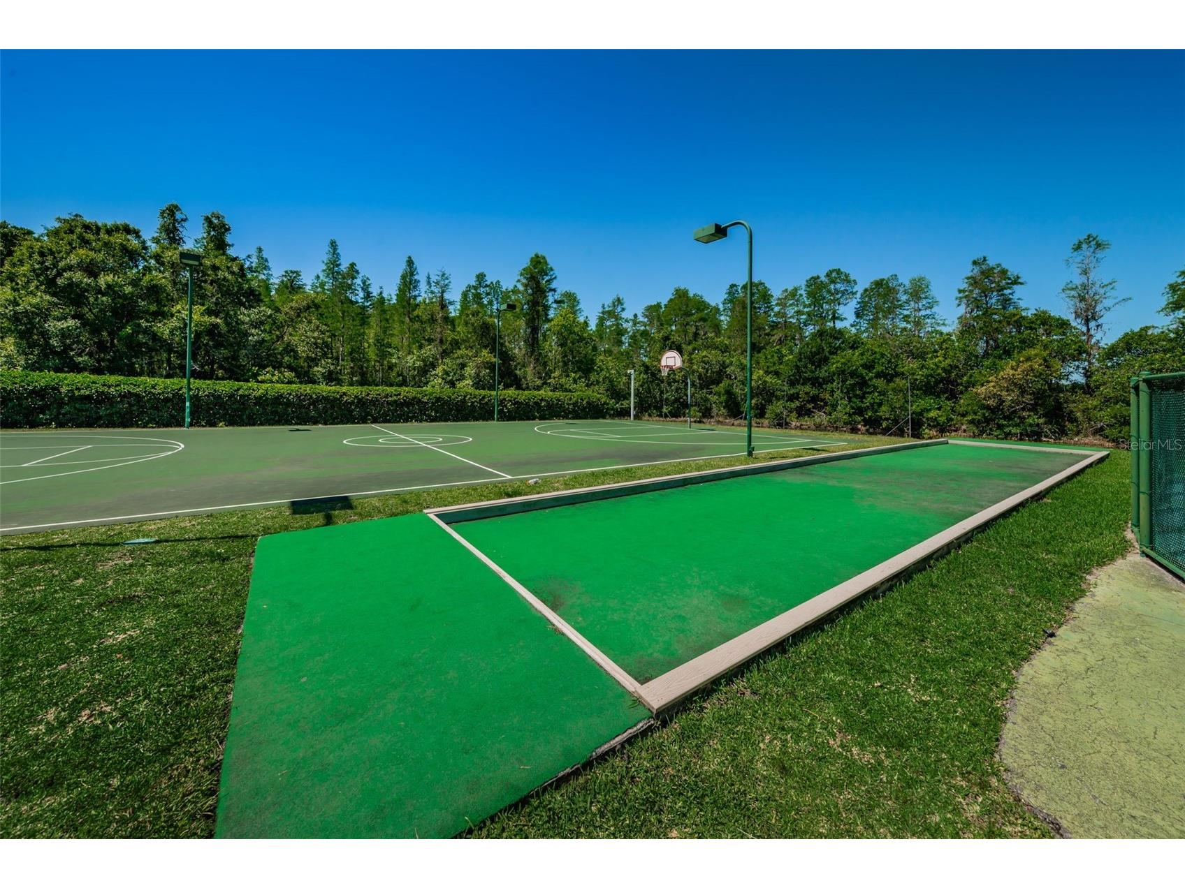 19313 Aqua Springs Drive Lutz FL 33558 TB8506603 image58