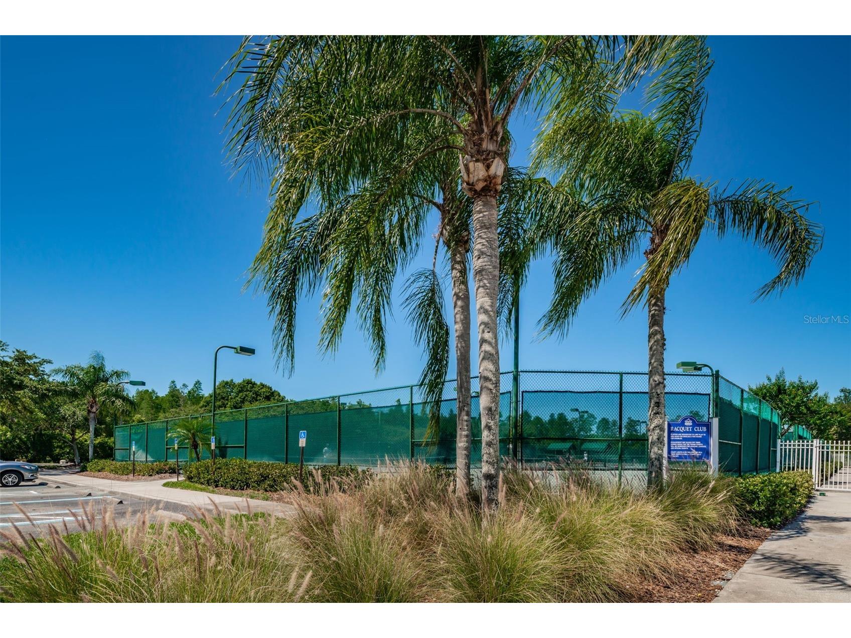 19313 Aqua Springs Drive Lutz FL 33558 TB8506603 image59