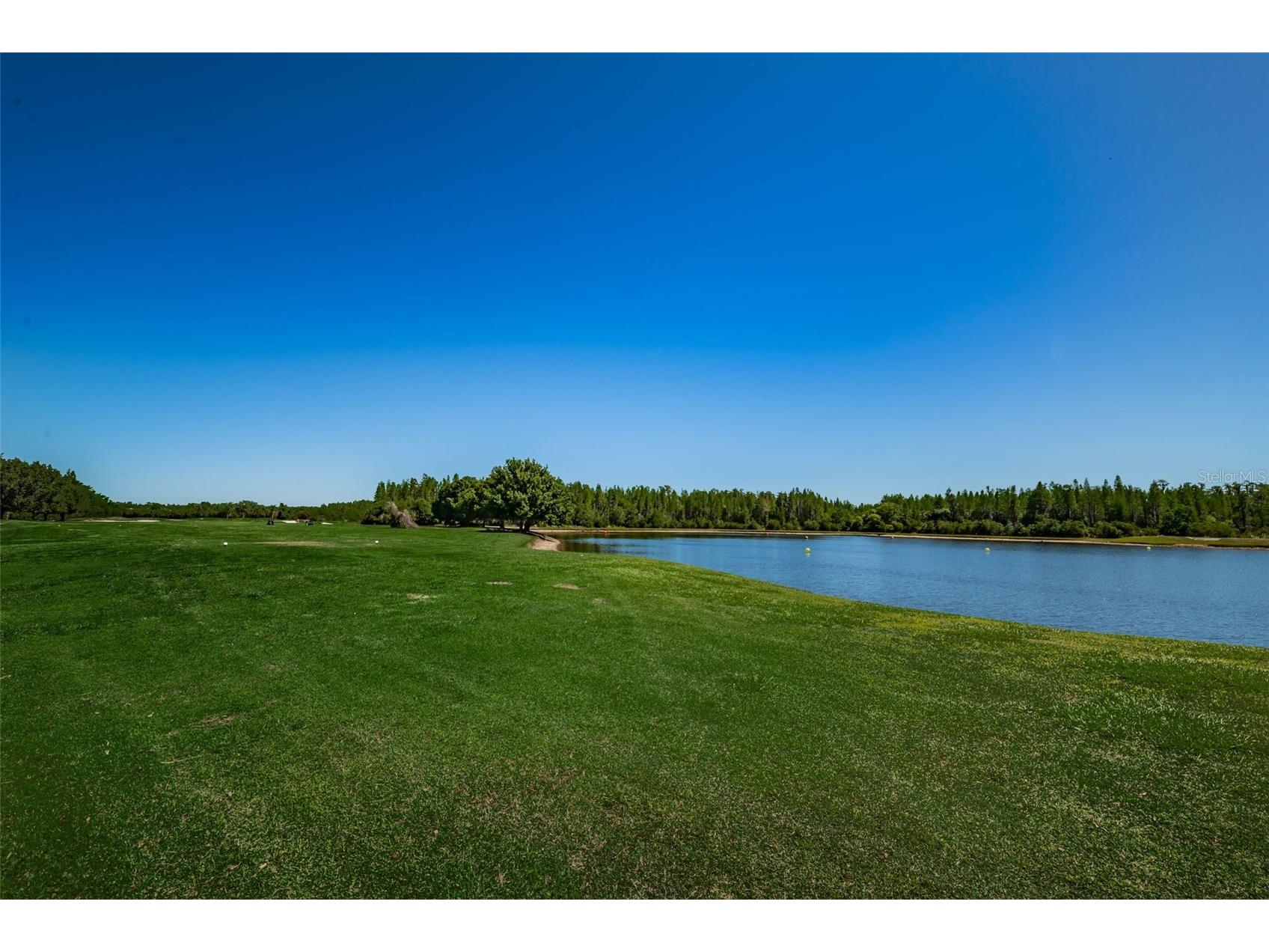 19313 Aqua Springs Drive Lutz FL 33558 TB8506603 image61