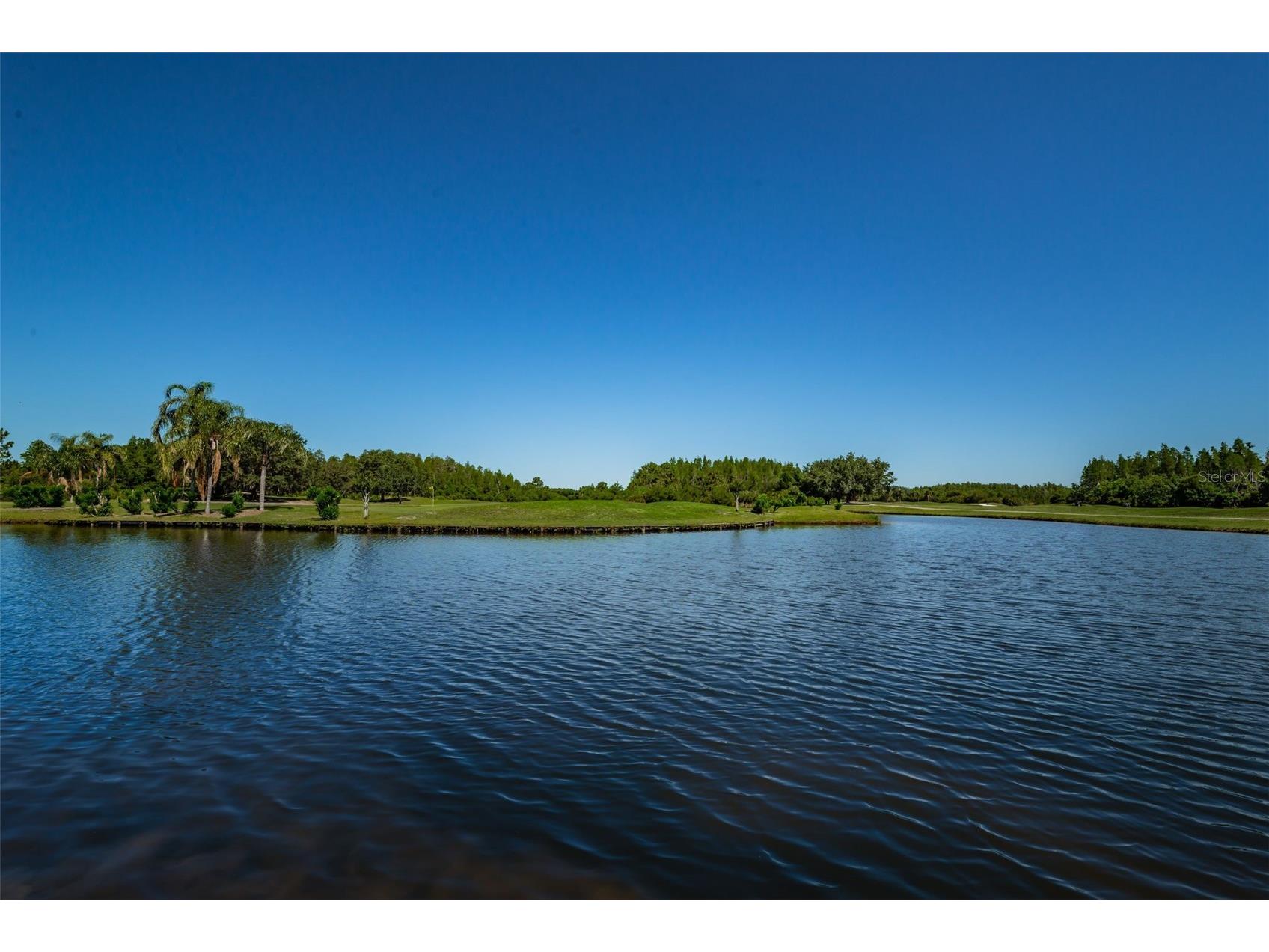 19313 Aqua Springs Drive Lutz FL 33558 TB8506603 image62