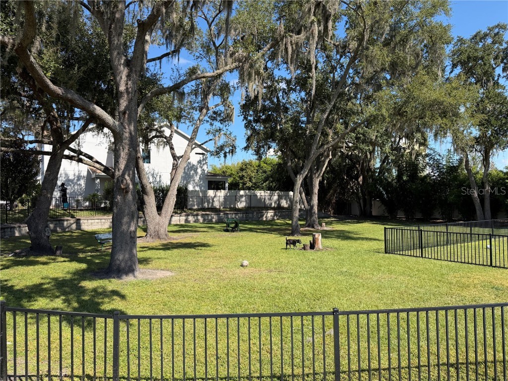 19313 Pummelo Drive Orlando FL 32827 O6358517 image89