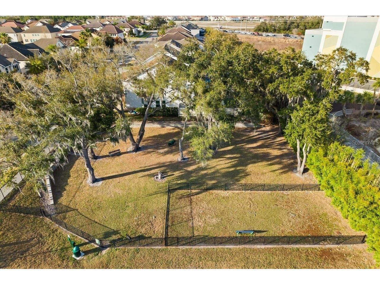 19313 Pummelo Drive Orlando FL 32827 O6401556 image62