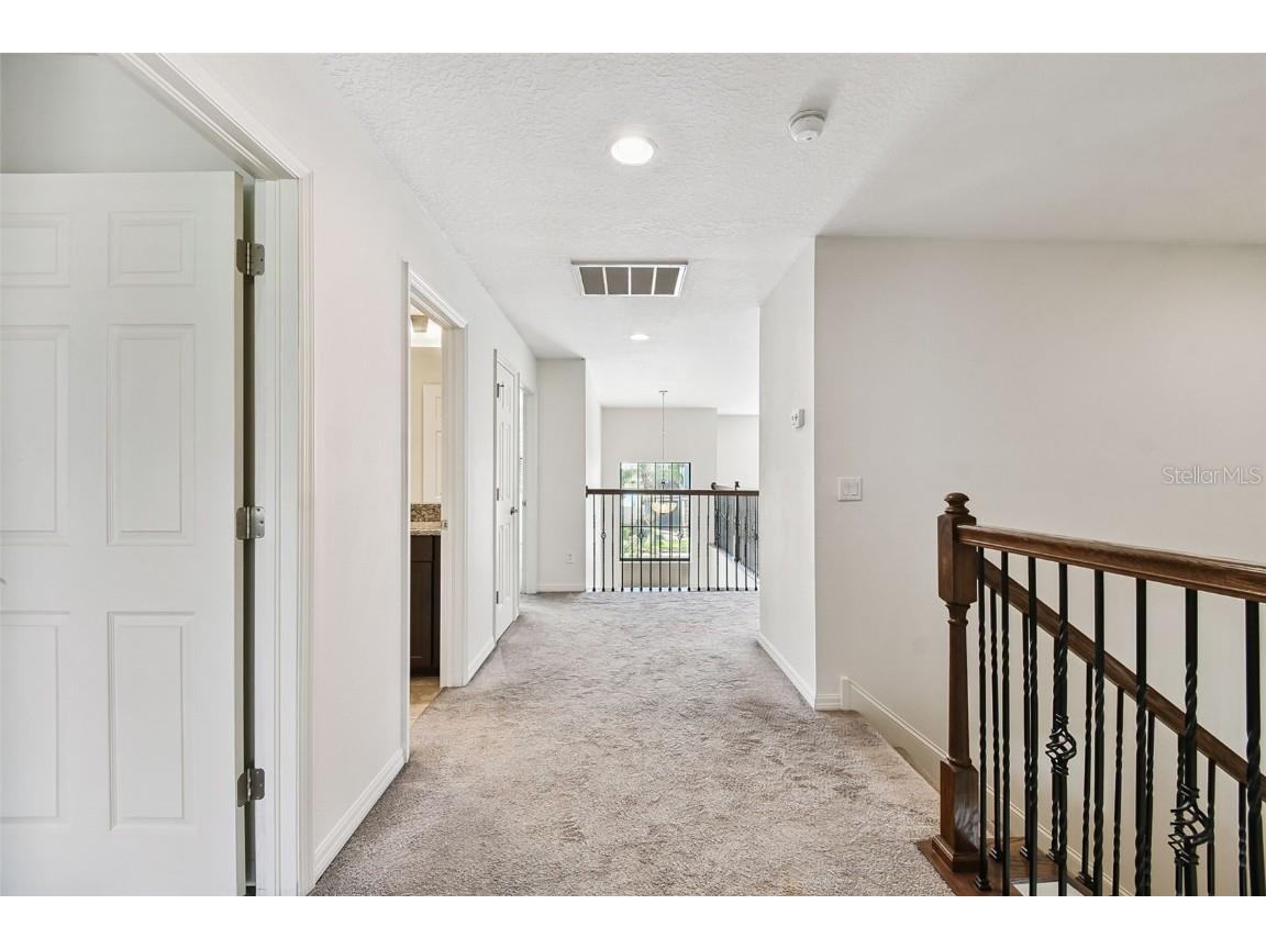 19314 Long Lake Ranch Boulevard Lutz FL 33558 TB8428290 image24