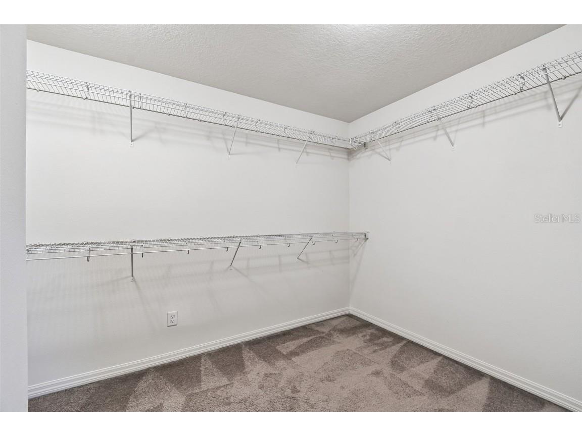 19314 Long Lake Ranch Boulevard Lutz FL 33558 TB8428290 image31