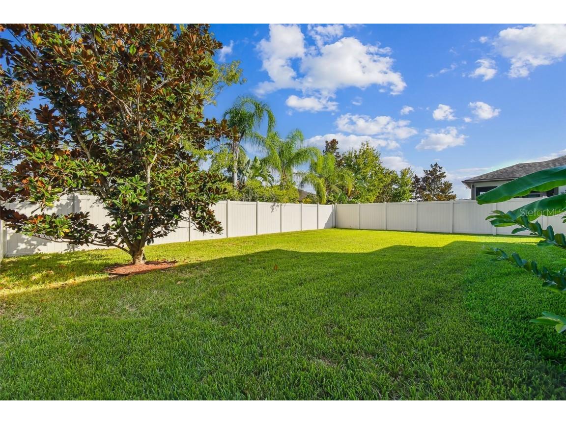 19314 Long Lake Ranch Boulevard Lutz FL 33558 TB8428290 image39